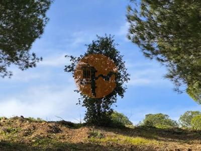 Annonce Vente Terrain Castro-marim