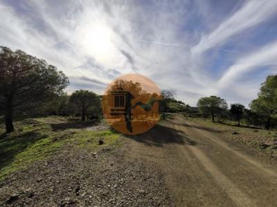 Acheter Terrain 32767 m2 Castro-marim