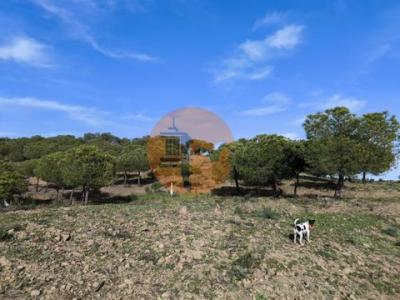 Acheter Terrain Castro-marim r�gion FARO