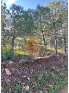 Annonce Vente Terrain Castro-marim