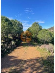 Acheter Terrain 32767 m2 Castro-marim