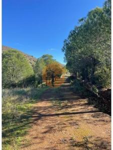 Acheter Terrain Castro-marim r�gion FARO