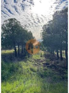 Annonce Vente Terrain Castro-marim