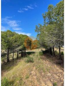 Acheter Terrain Castro-marim r�gion FARO