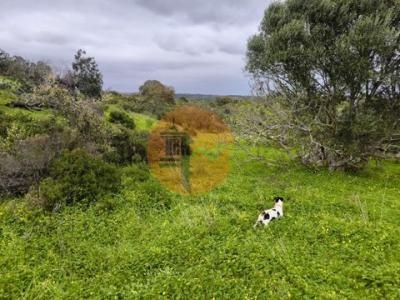 Annonce Vente Terrain Castro-marim