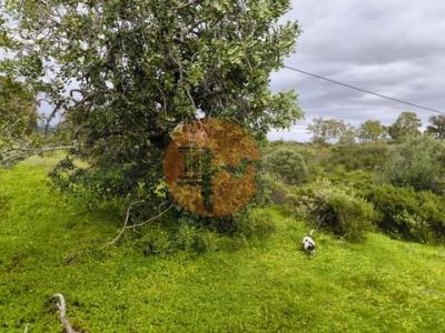 Acheter Terrain 16320 m2 Castro-marim