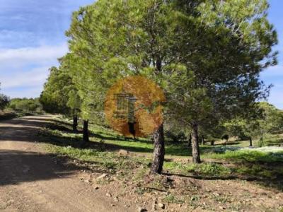 Acheter Terrain Castro-marim r�gion FARO