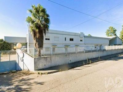 Annonce Vente Local industriel Salvaterra-de-magos