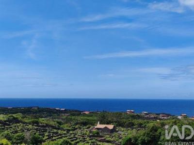 Annonce Vente Terrain Sao-roque-do-pico