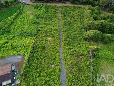 Acheter Terrain 2914 m2 Sao-roque-do-pico