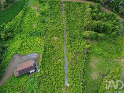 Acheter Terrain Sao-roque-do-pico r�gion ACORES