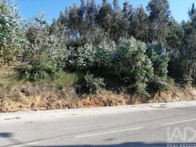 Acheter Terrain 1634 m2 Leiria