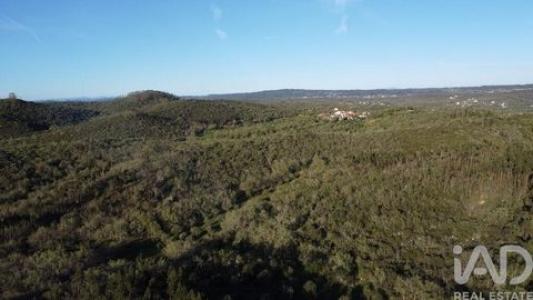 Vente Terrain Ferreira-do-zezere  14 au Portugal