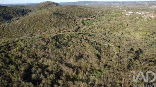 Annonce Vente Terrain Ferreira-do-zezere