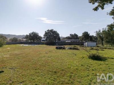 Acheter Terrain 13913 m2 Setubal