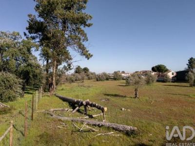 Acheter Terrain Setubal r�gion SETUBAL