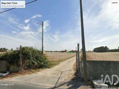 Acheter Terrain 32767 m2 Montijo