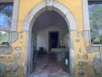 Acheter Maison 400 m2 Santa-maria-da-feira