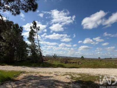 Acheter Terrain 432 m2 Palmela