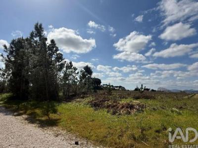 Acheter Terrain Palmela r�gion SETUBAL