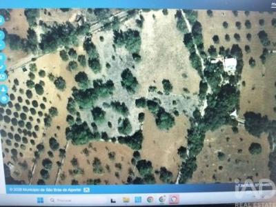 Annonce Vente Terrain Sao-bras-de-alportel