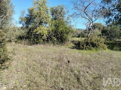 Acheter Terrain Sao-bras-de-alportel r�gion FARO