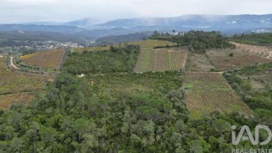 Vente Terrain Condeixa-a-nova  06