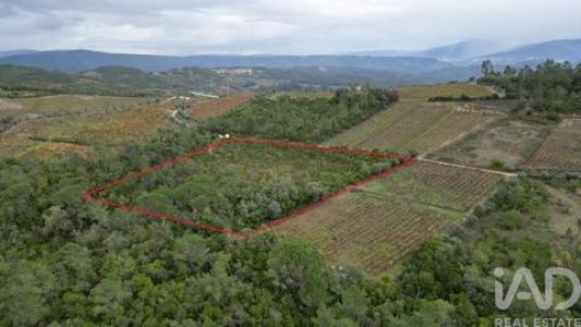 Annonce Vente Terrain Condeixa-a-nova