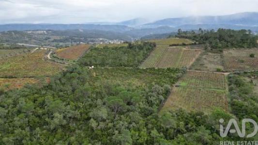 Acheter Terrain 5640 m2 Condeixa-a-nova