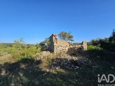Annonce Vente Terrain Loule