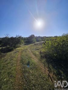 Acheter Terrain Loule r�gion FARO