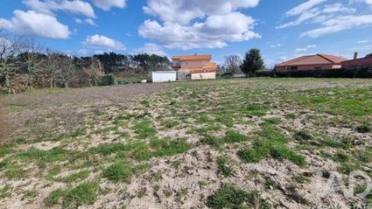 Acheter Terrain 10200 m2 Guarda