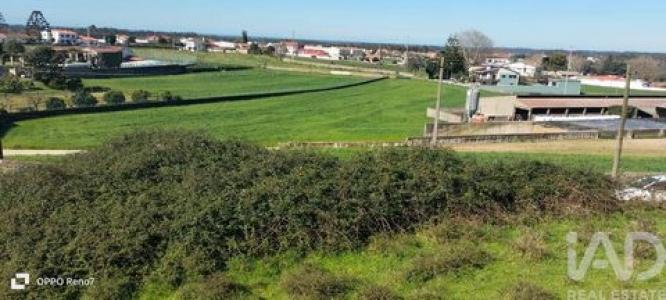 Acheter Terrain 3006 m2 Vila-do-conde