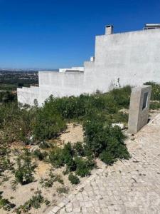 Acheter Terrain 292 m2 Palmela