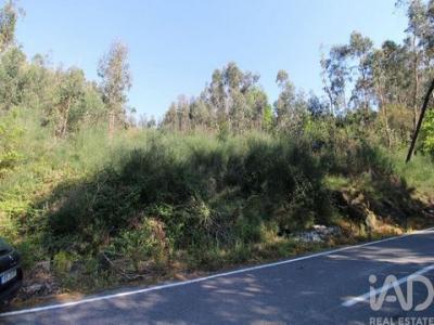 Vente Terrain Vila-nova-de-famalicao  03 au Portugal