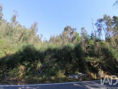 Annonce Vente Terrain Vila-nova-de-famalicao