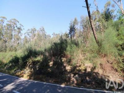 Acheter Terrain Vila-nova-de-famalicao r�gion BRAGA