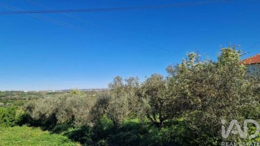 Vente Terrain Porto-de-mos  10 au Portugal