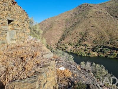 Acheter Terrain 32767 m2 Torre-de-moncorvo