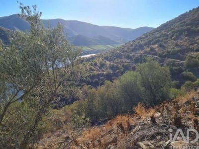 Acheter Terrain Torre-de-moncorvo r�gion BRAGANCA