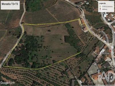 Acheter Maison 167 m2 Cadaval