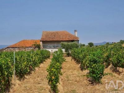 Vente Maison Vila-flor  04