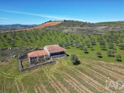 Acheter Maison Vila-flor r�gion BRAGANCA