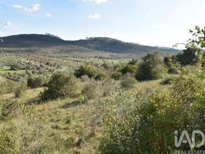Annonce Vente Terrain Ferreira-do-zezere