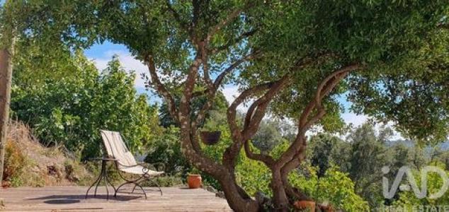 Acheter Maison 107 m2 Portalegre