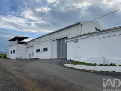 Annonce Vente Local industriel Praia-da-vitoria