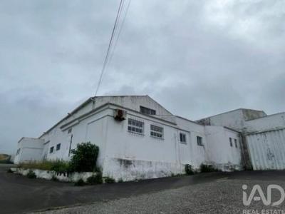 Acheter Local industriel 2202 m2 Praia-da-vitoria
