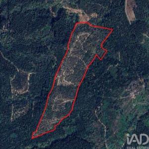 Acheter Terrain 13300 m2 Penafiel