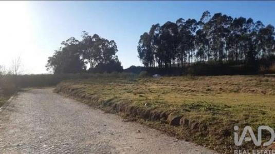 Acheter Terrain 6000 m2 Penafiel