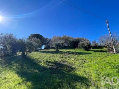 Annonce Vente Terrain Tomar